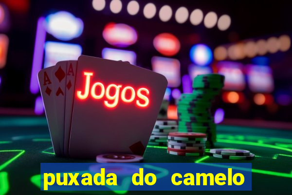 puxada do camelo no jogo do bicho